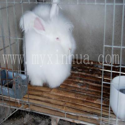 托盤式橋架和槽式橋架有何不同？